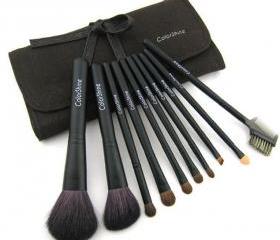 Color Shine High Quality Natural Wool Goat hair 10Pcs Profession Cosmetic Beauty Makeup Brush Set