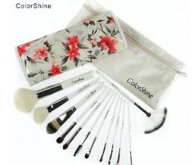 ColorShine High Quality 12 Pcs Makeup Brush Set Professional Makeup Tools
